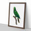 Cuban Amazon Parrot by F. Levaillant - Framed Print-55491201-55491204