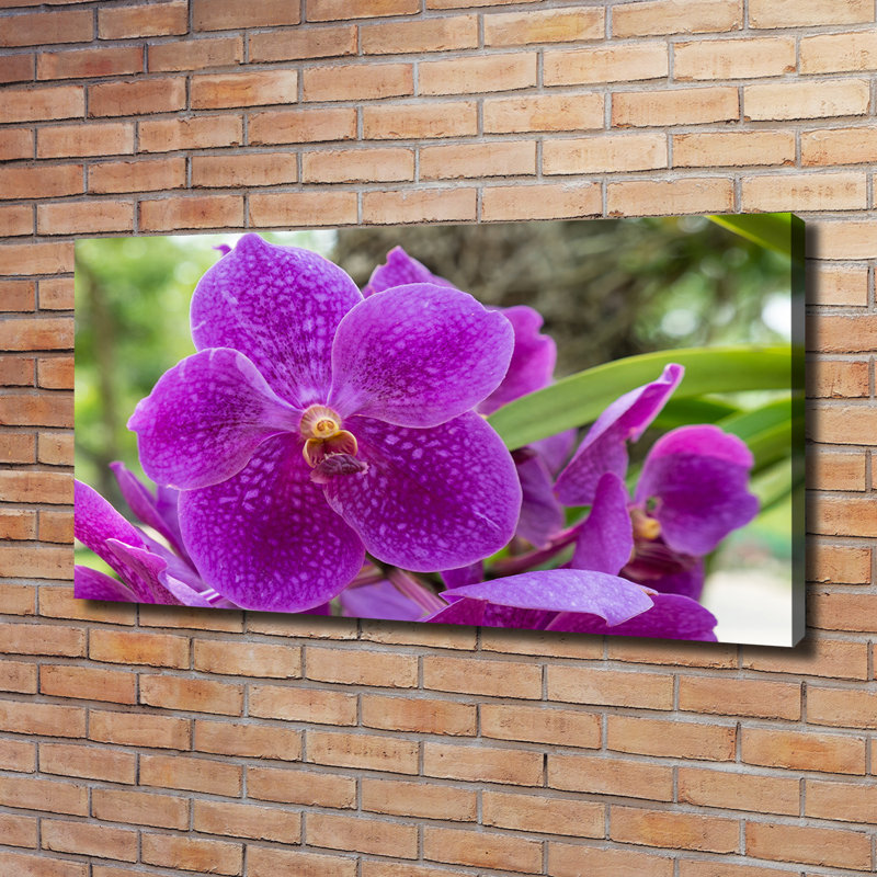 Orchid 1 Piece Wrapped Canvas Wall Art