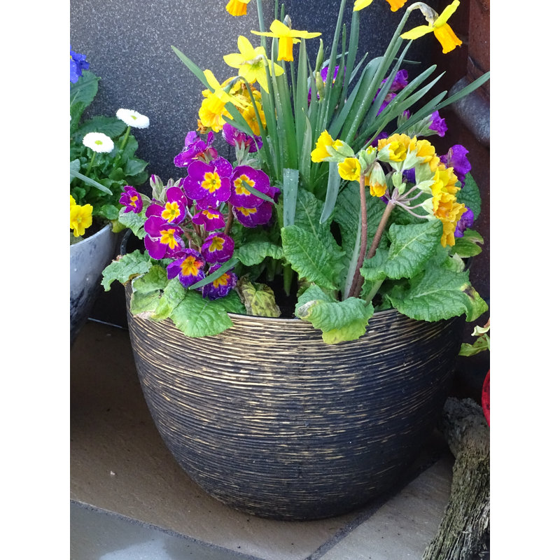 Colin Planter, 29cm H x 35cm W x 35cm D, Antique Gold