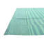 Tapis turquoise Murtagh