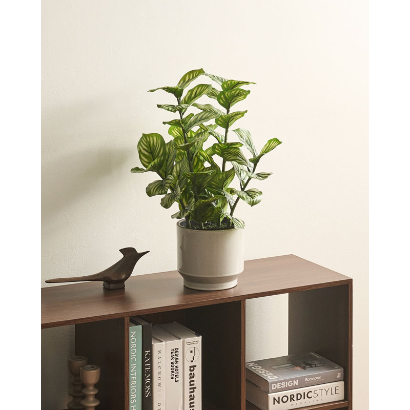 50 cm H Faux Plant in Cement Pot