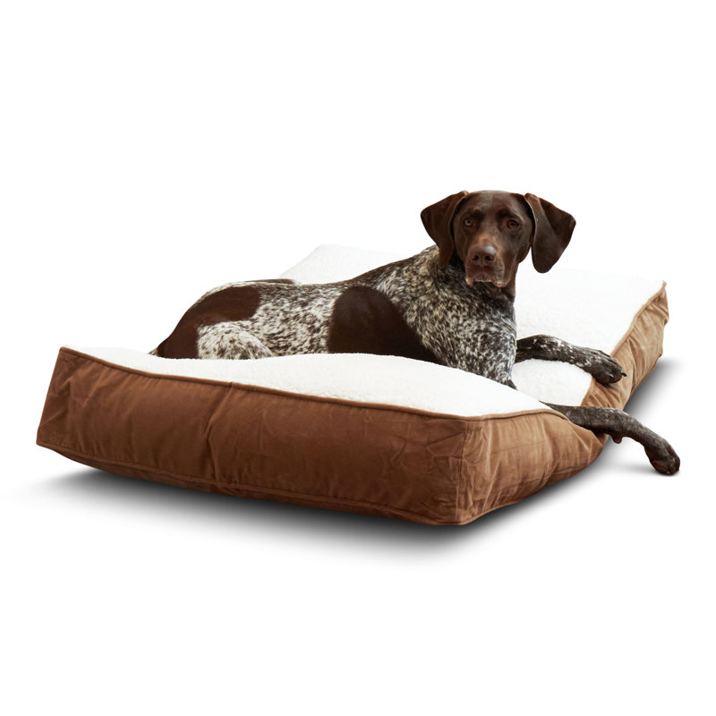Lit pour chien Olivarez Classic, Moyen (L 42 po x l 30 po x H 6 po), Café au lait