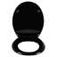 Dejaun Soft Close Elongated Standard Toilet Seat