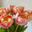 Tulip Flower Bundle 19 Stems