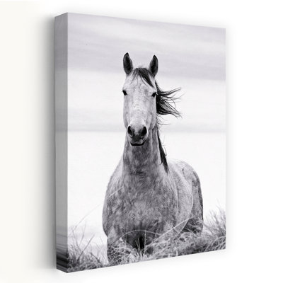Cheval, paysage, blanc, nature, photographie, cheval, art contemporain