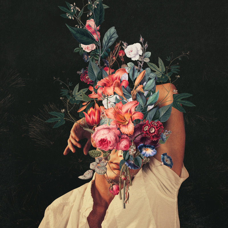 «Roses Bloomed Every Time I Thought of You» par Eleftherios Sarafidis - reproduction, H 20 po x l 20 po, Non