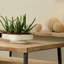 Coco Handmade Ceramic / Porcelain Decorative Bowl