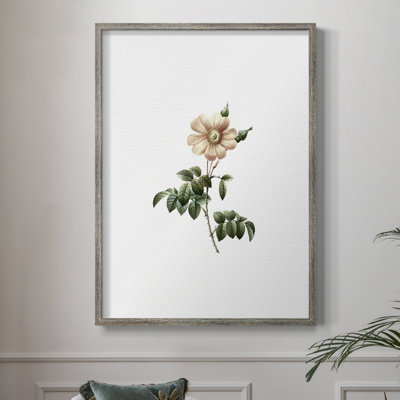 «Botanical Beauty II», reproduction encadrée - bois massif 50510