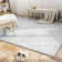 Cozy Faux Rabbit Fur Area Rug Machine Washable Rug in Gray