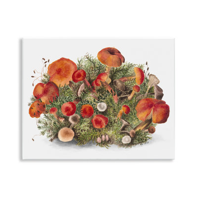 Rustic Cottage Mushrooms Wall Plaque Art by Lettered and Lined