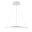 Luminaire suspendu cylindrique unique à 1 lumière Shannondale