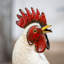 Statue de jardin coq en métal avec plumes légères, 14 po