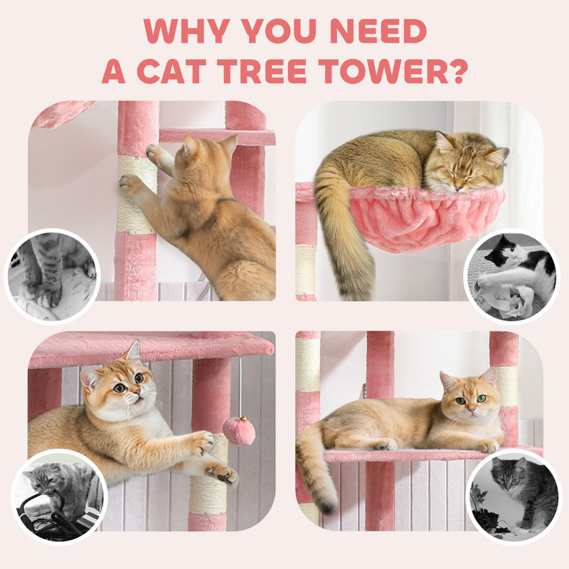 Tour pour chat 94 '' à 102 ''