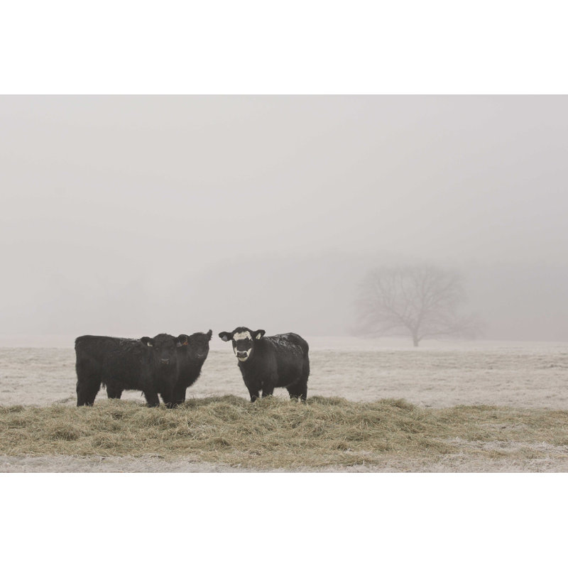 Farm Farm V, H 8 po x l 12 po