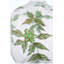 9.1" x 16.5" Glass Vase with Narrow Neck and Botanical Pattern