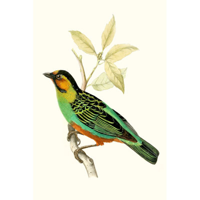 On Perch VI - Painting on Canvas