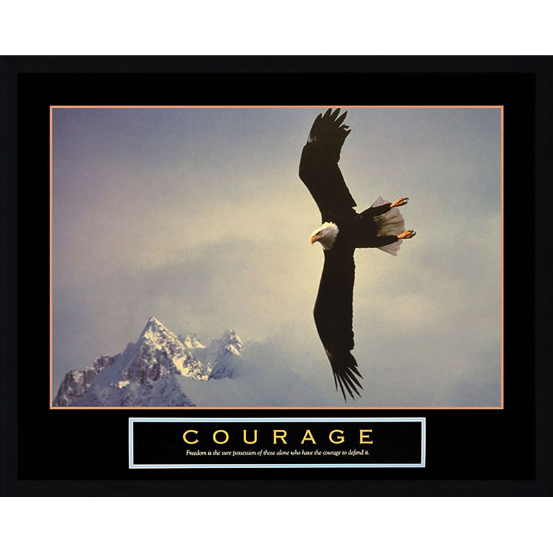 « courage chauve eagle », reproduction d’impression encadrée