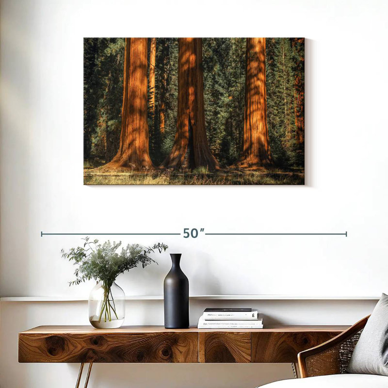 Arbres centenaires du parc Sequoia, H 24 po x l 36 po