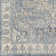 Bejou Oriental Indoor Rug