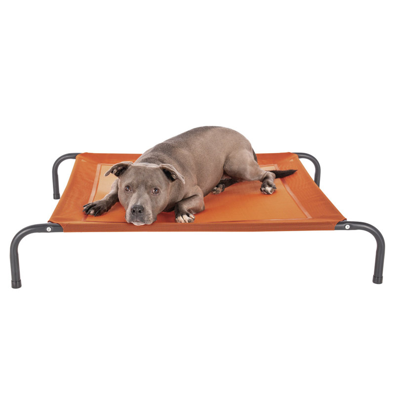 Elevated Cot Pet Bed, 8" H x 32.5" W x 44" D, Red