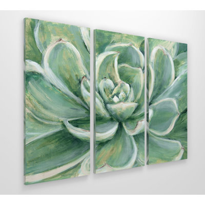 " Succulent " 3 - Pieces