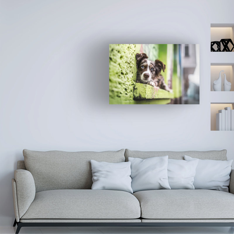 Art sur toile Natalie Grosse At Rest, H 12 po x l 19 po