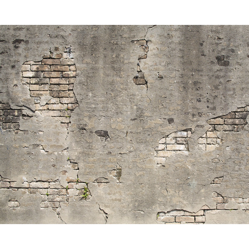 Bergin Brick Wall Mural