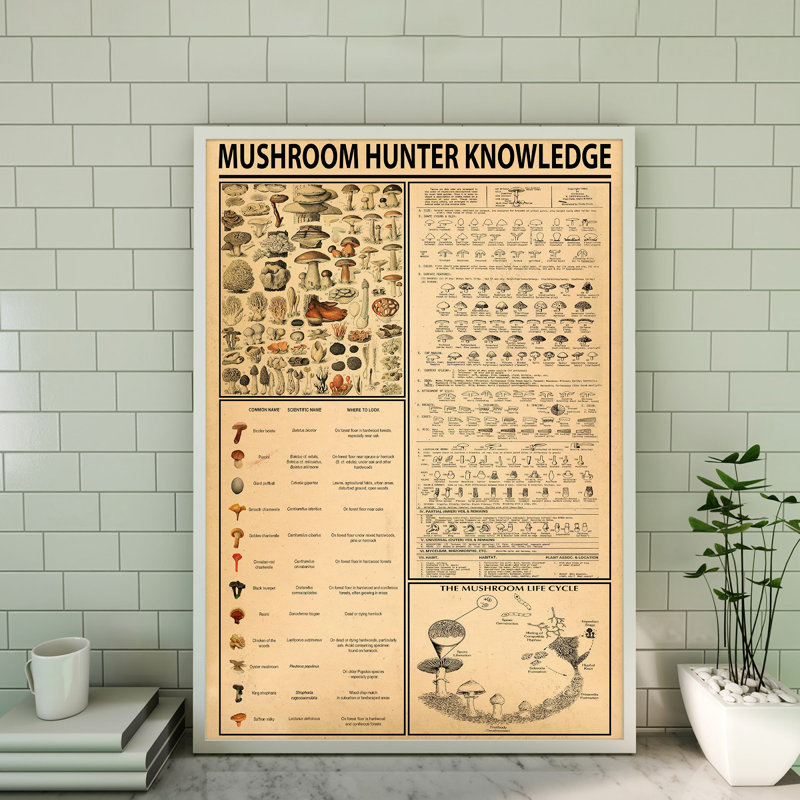 Toile tendue avec champignon et champignon - Illustration de plante, beige et orange, H 14 po x l 11 po x P 2 po