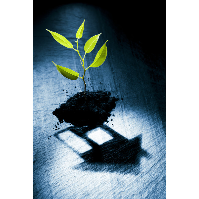 Little Plant by LdF - No Frame Print on Canvas, 30cm H x 20cm W
