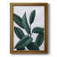 Toile encadrée Verdic Ficus II de qualité supérieure - prête à être accrochée-1731283038