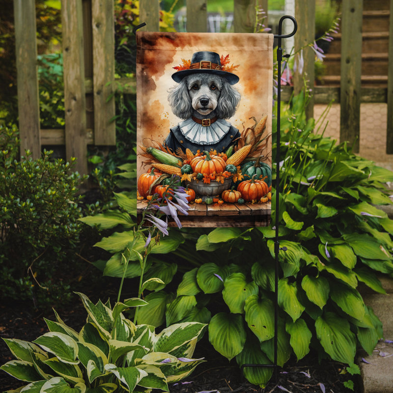 Drapeau du jardin de l'Action de grâce, Caniche gris argenté