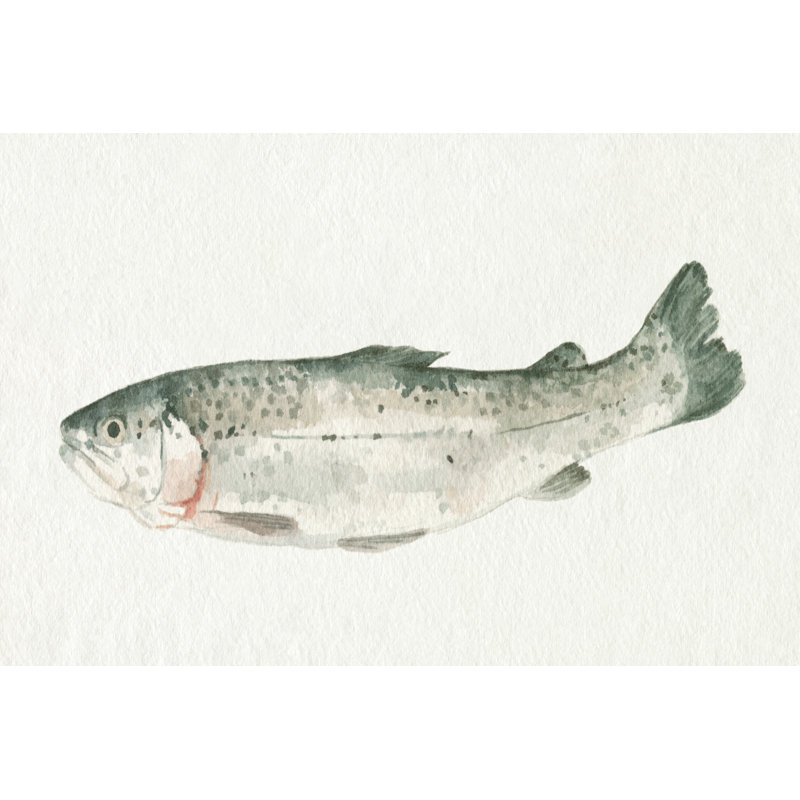 " Fresh Catch IV " by Emma Caroline Painting Print, 32" H x 48" W x 1.25" D