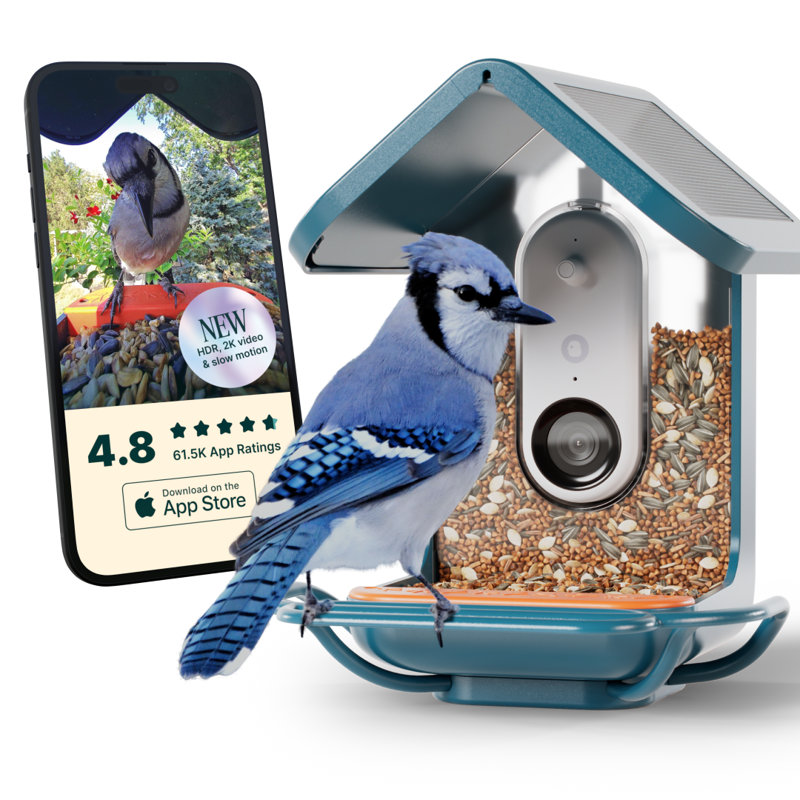 Mangeoire d'oiseaux intelligente avec caméra et rallonge pour perchoir Birdbuddy Pro