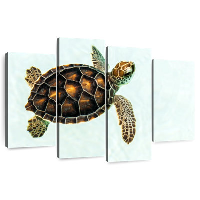Brampt Baby Turtle