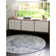 Boylan Oriental Indoor Rug