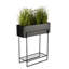 Hiromichi Plant Stand-1137755690