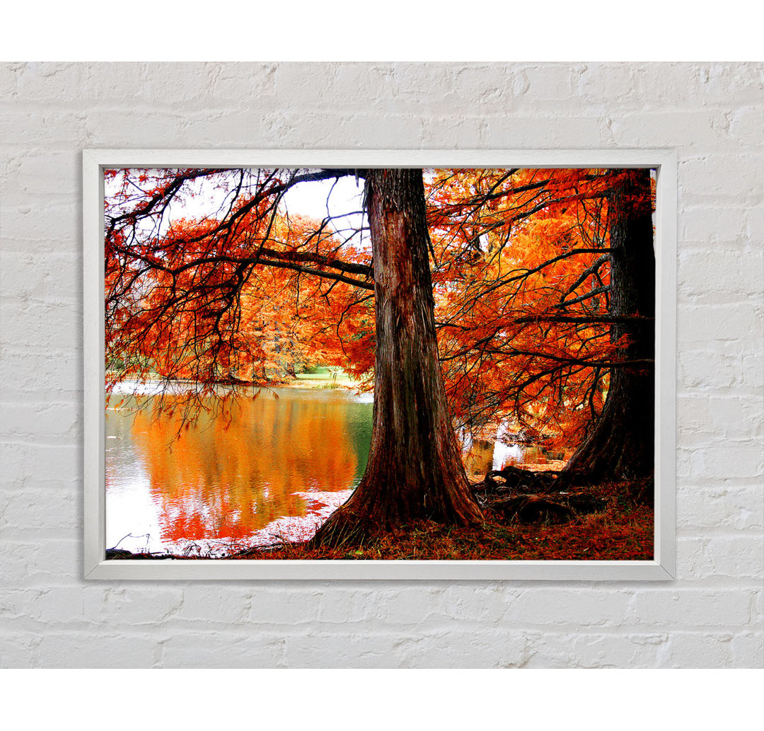 Autumn Orange River Reflections - Einzelbildrahmen Kunstdrucke auf Leinwand