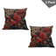 Ensemble de 2 housses de coussin Ambesonne-99019608-99019609