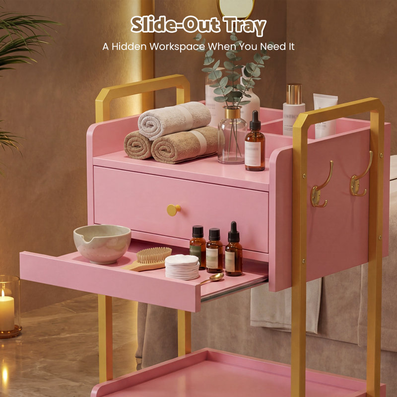 2-Tier Potable Station Rolling Cart with Locking Wheel, Mobile Storage for Salon, Spa, Office, Barber Shop, Pink