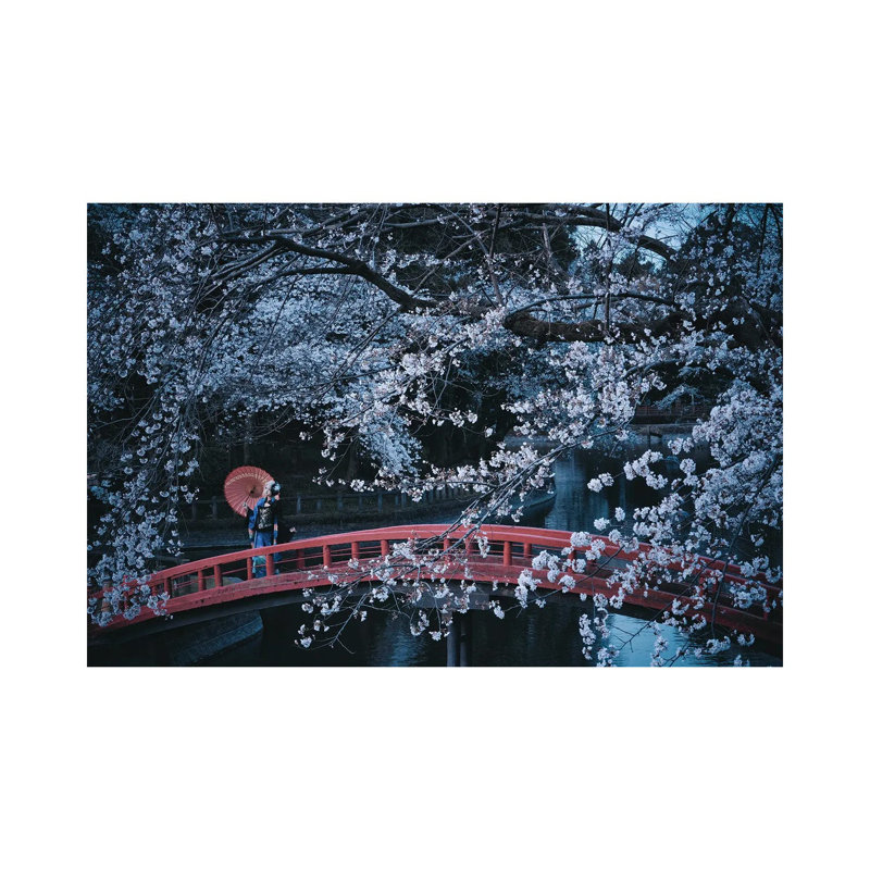 Untitled by Koiki - Wrapped Canvas Gallery-Wrapped Canvas Giclée, 66.04 cm H x 45.72 cm W x 1.91 cm D