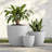 3-Piece Round Concrete Indoor/Outdoor Pot Planter Set-1022063660-1048270918
