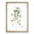Oak Framed selected