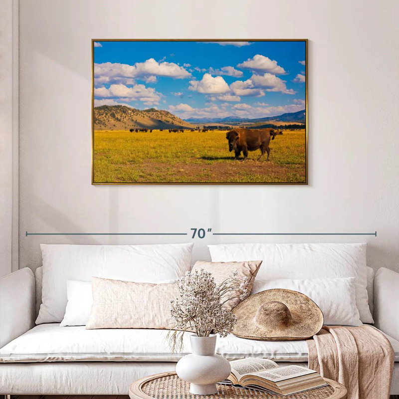 Bison dans le parc national, Cadre flottant doré, 43 po x 29 po