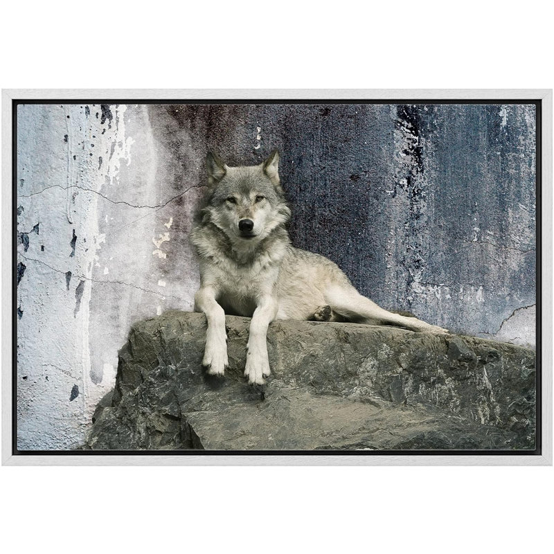 Animals " A Wolf Laying On A Boulder ", White Framed, 24'' H x 36'' W