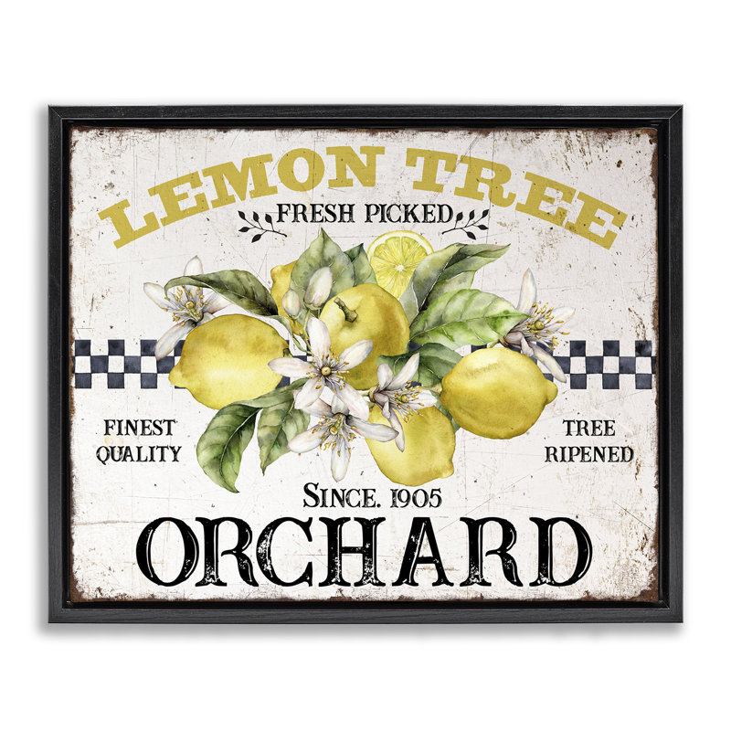 «Lemon Tree Fresh Picked», art mural encadré flottant par Creatif Belle, Cadre flottant noir de jais, H 17 po x l 21 po