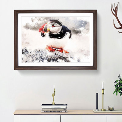 Atlantic Puffin - Framed Print