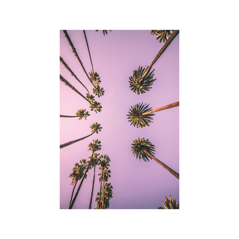 Palm Boulevard by Honeymoon Hotel - Wrapped Canvas Print, 101.6 cm H x 66.04 cm W x 1.91 cm D