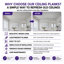 Planches de plafond en mousse et bois collé 39 po x 6 po-116745579