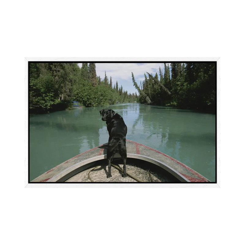 A Black Labrador Dog Travels Up The Kenai River On A Boat's Bow I by Joel Sartore - Gallery-Wrapped Canvas Giclée on Canvas