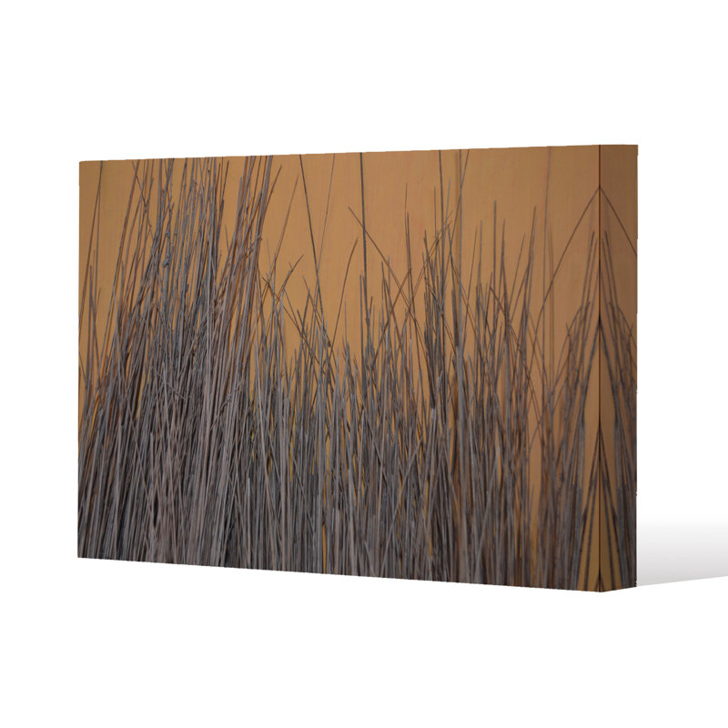 No Title by Andrew Lee - Wrapped Canvas Print